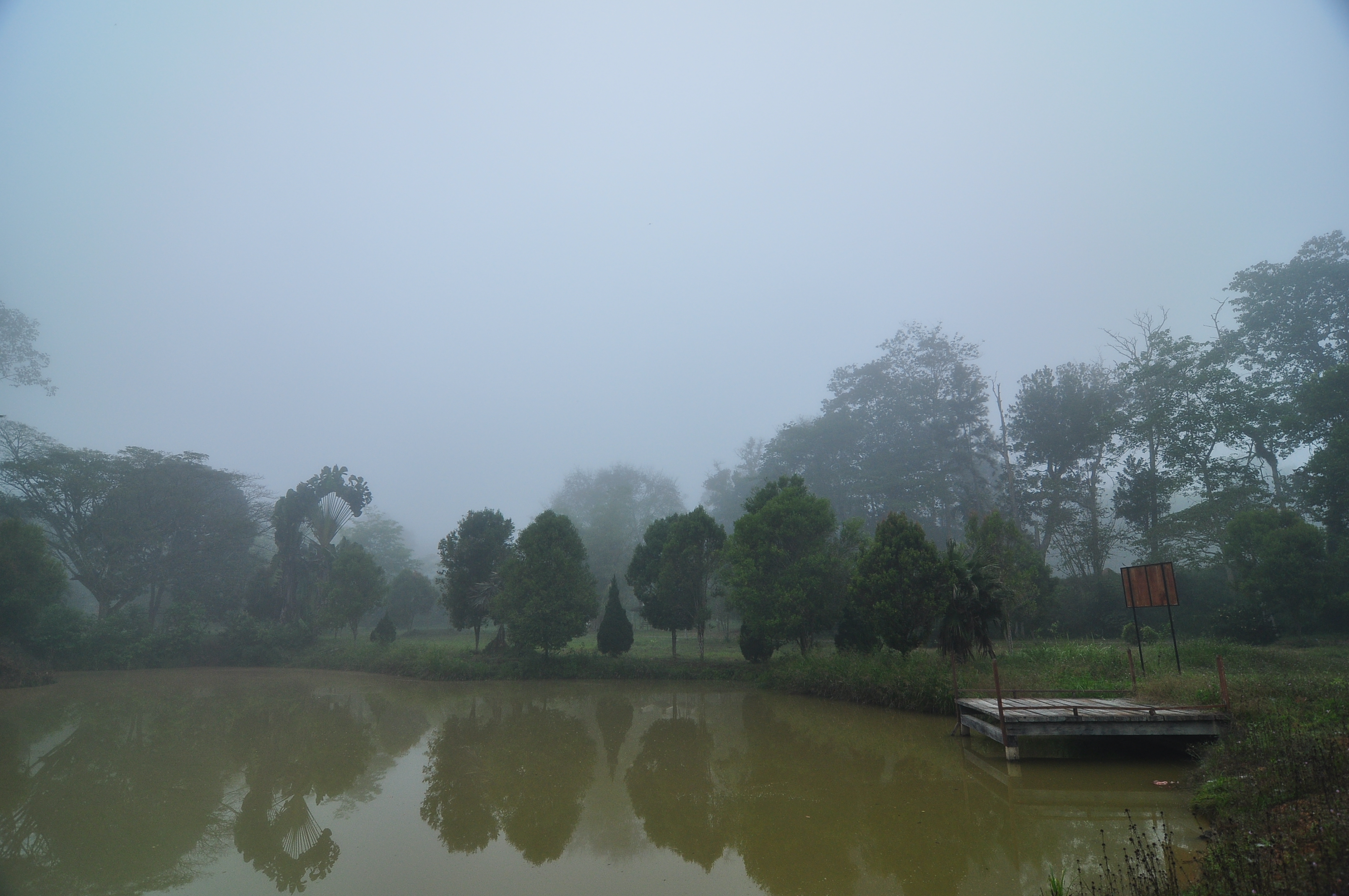 Kemasul Forest Eco-Park